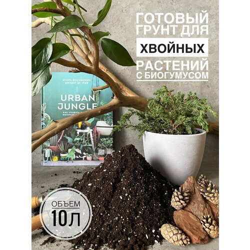 ������ ������ ������� ����� ��� ������� �������� � �������� 10 ������ �� Terracotta Plants ����