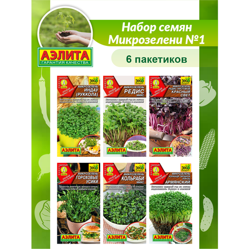 ������ ������ ����� ����� ����������� N1 / ������ ����������� ����