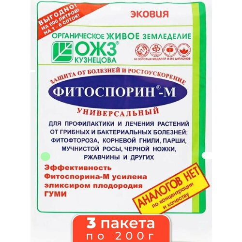 ������ ������ ���������� � ������������� ��� ������� �������� 3 �� ����