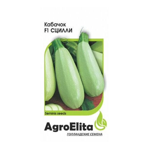 ������ ������ ������ ������� ������ F1 5�� ������ ������� (���������) ��������� ����