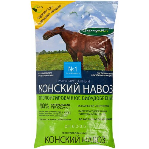 ������ ������ ������ ���� ��������� ������ ���� ������� ����� ���������������, 2 �� ����