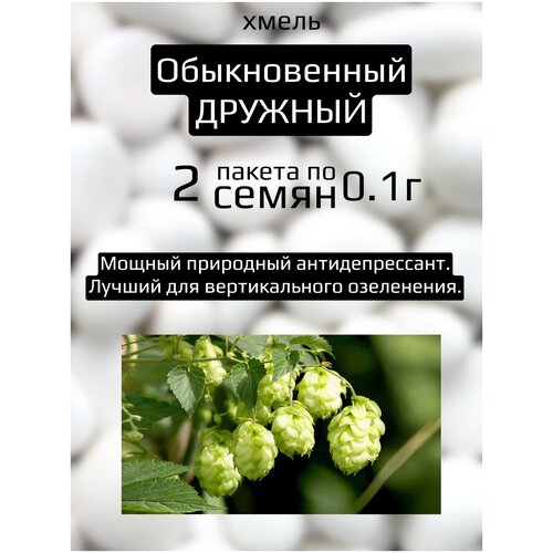 ������ ������ ����� ������������ ������� 2 ������ �� 0,1� ����� ����