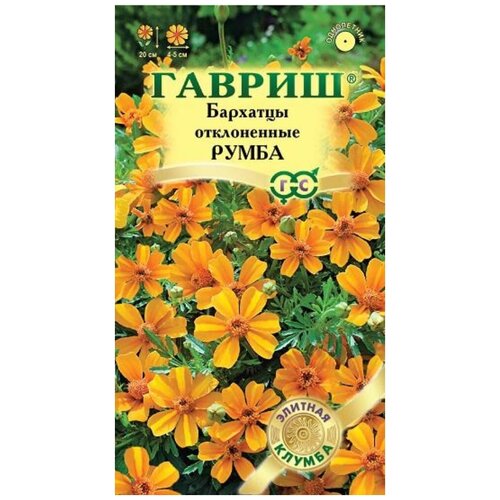 ������ ������ ������. �������� ����������� 