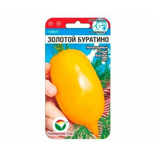 ������ ������ ������ ����� ������� �������� 20�� ��� (��������� ���) ����