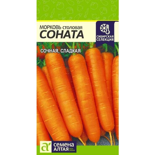 ������ ������ ������ ������� ������ 1� (������ �����) ��������� �������� ����