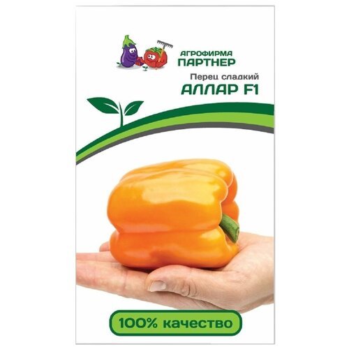 ������ ������ ������ ����� �������� 