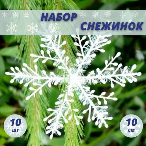 ������ ������ �������� ��� ������, ���������� ���������, ��� ������ ����, ����� 10 �� ����