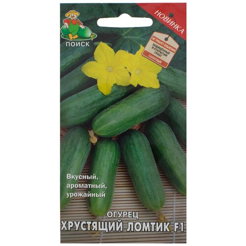 ������ ������ ������ ����� ������ ��������� ������ F1 12 ��. ����