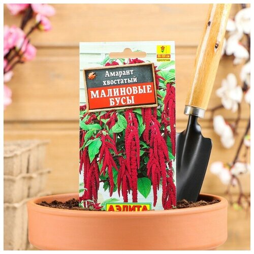 ������ ������ ������ ������ ������� 