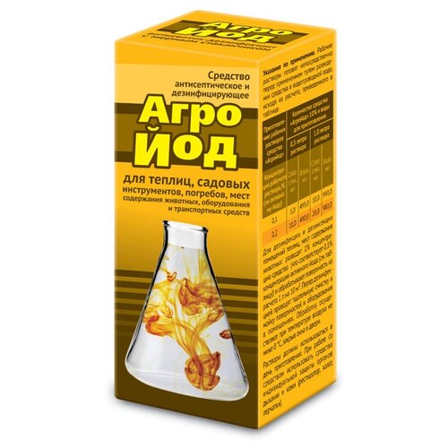 ������ ������ ���� ��������� �������� ���������������, 100 ��, 137 � ����