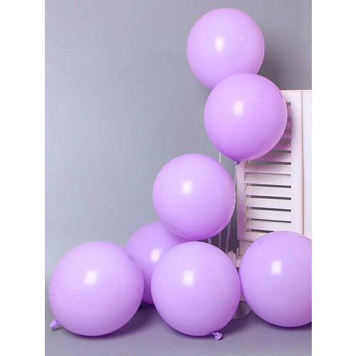 ������ ������ ����� ��������� ����� �������� ������� - 100��, ���������, ������ 30�� / ������ ����