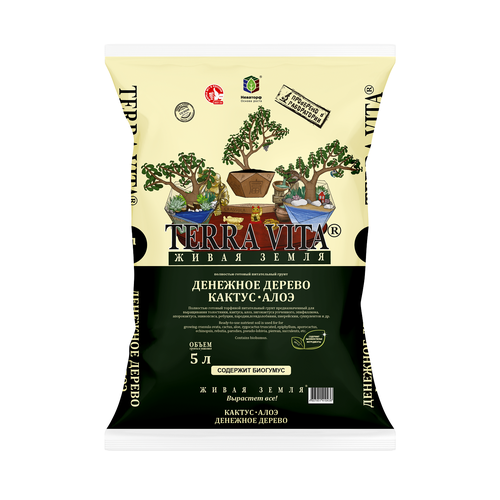 ������ ������ ����� ����� ����� �������� ������-������-���� 5� ����