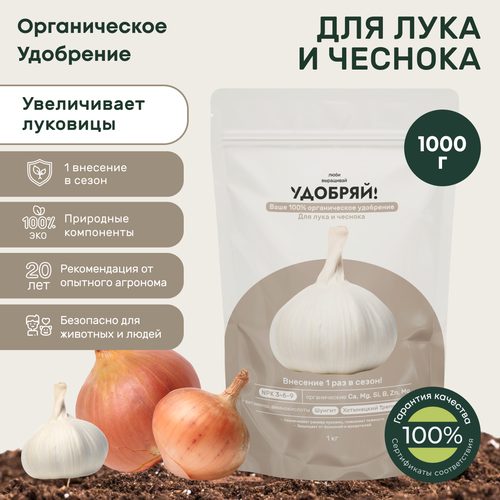 ������ ������ ��������� ��� ���� � �������, ���������� ������� 1�� ����