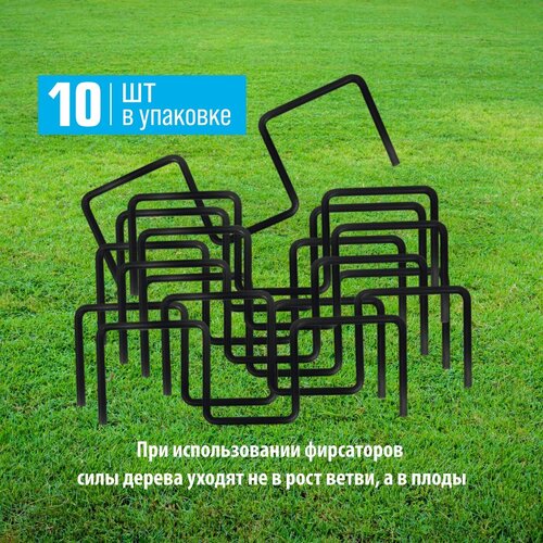 ������ ������ ����� ��� �������� ����� �������� (10��) ����