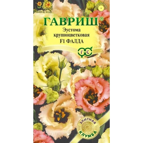 ������ ������ ������. ������� ��������������� 