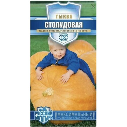 ������ ������ ����� ����������, 1 �����, ������, ������ 1� ����