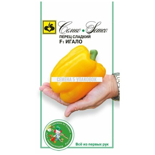 ������ ������ ������� ������ ����� ������� 