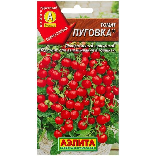 ������ ������ ������ ����� ������� ����