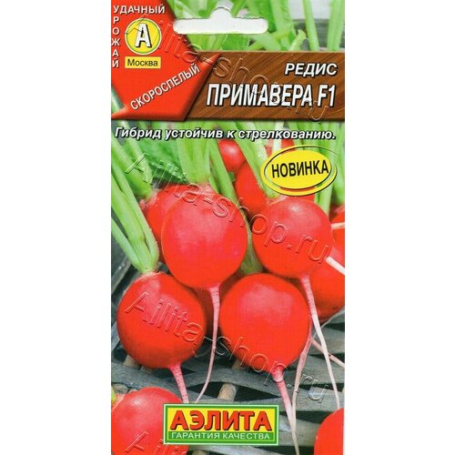 ������ ������ ������ ������ ������ 