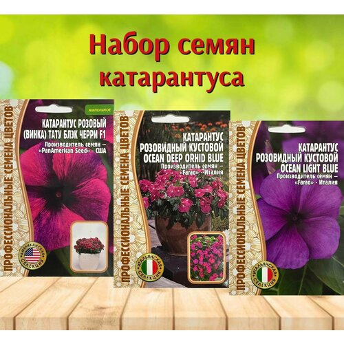 ������ ������ ������ ��������� �������� � ������ ���������� ����� 3 ��. ����