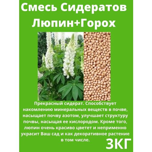 ������ ������ ������ ��������� �����+����� 3 �� ����