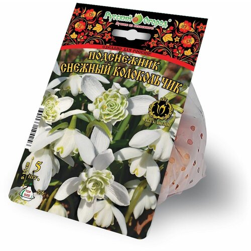 ������ ������ ���������� �������� ������� ����������� 5 ������� 5/+ ����