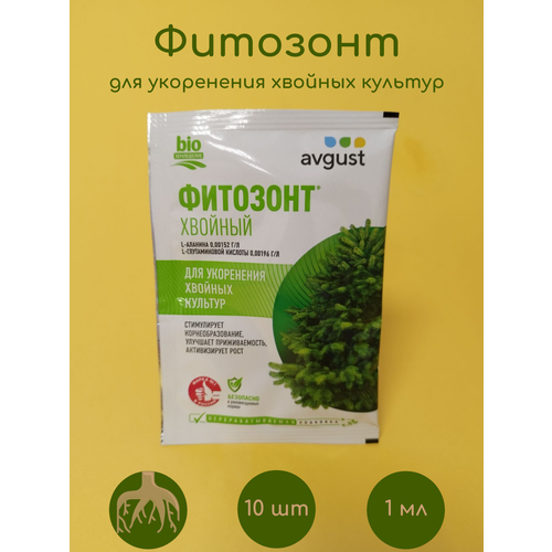 ������ ������ �������� ������� 10 �� �� 1 �� ����