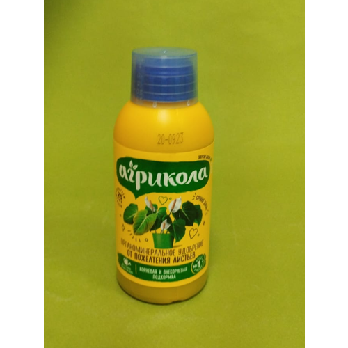 ������ ������ �������� ���� �� ���������� ������� 250 �� ����