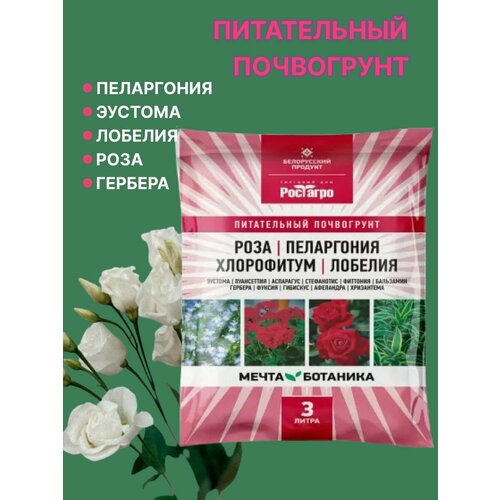 ������ ������ ����� ��� ��������� ��� ����� �������� 3 �. ����