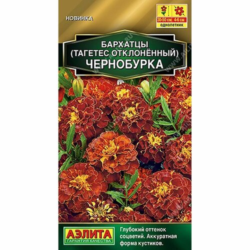 ������ ������ ������ �������� ���������� ����������, (������) 0,3� ������� ����� ����