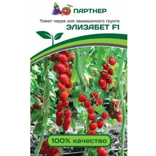 ������ ������ ������ ����� ����� 