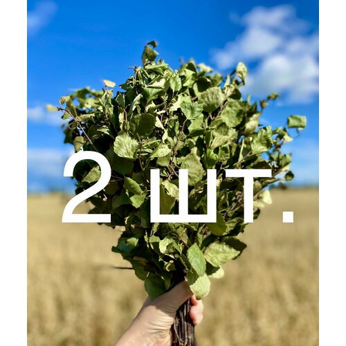 ������ ������ ����� ��������� ��� ���� 2 ��. (���� 2024, ��������) ����