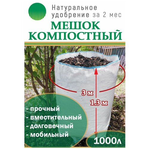 ������ ������ ��������� ������� �� 1000� � ���� ����