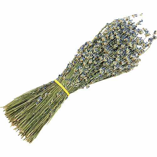 ������ ������ ����� �������� �� ������� ����