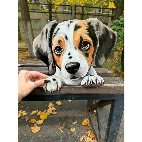 ������ ������ ����� �� ������� ��� ����, ���� 