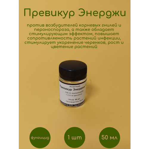 ������ ������ �������� �������� ������� 50 �� ����