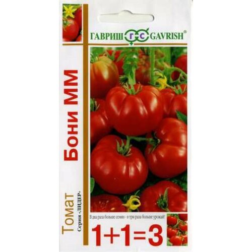 ������ ������ ������ ����� ���� �� 0.2� ��� ������ (������) 1+1 ����