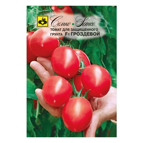 ������ ������ ������ ����� ��������� F1 5 �� ����� ����