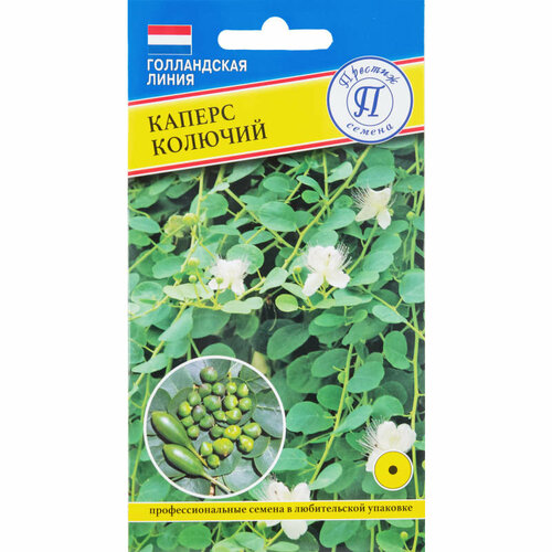 ������ ������ ������ ������ 