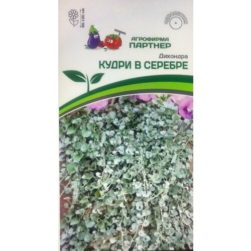 ������ ������ ������ �������� ����������� 