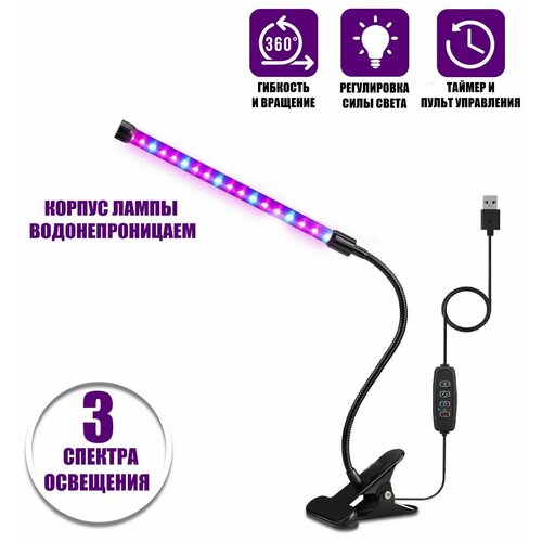 ������ ������ ��������� ������������ ��� �������� � ������������ �������, 1 ������ ����