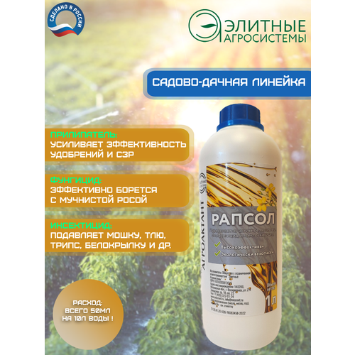 ������ ������ ������ 1 � - �������� 3 � 1: �����������, ��������, ���������� ����