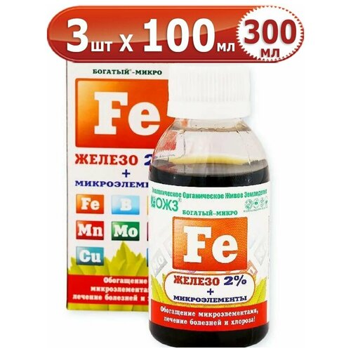 ������ ������ 300�� �������-����� ������ ������������� 100�� � 3�� �������� ����