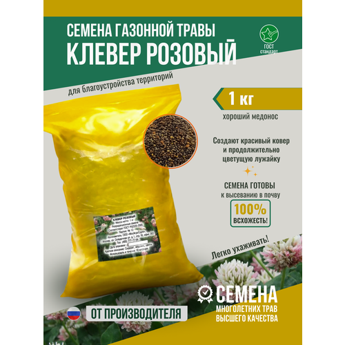 ������ ������ ������ �������� ������� ������������ 1�� ����