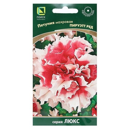 ������ ������ ������ ����� ���� ������� �������� ������� ��� 10 ��. ����