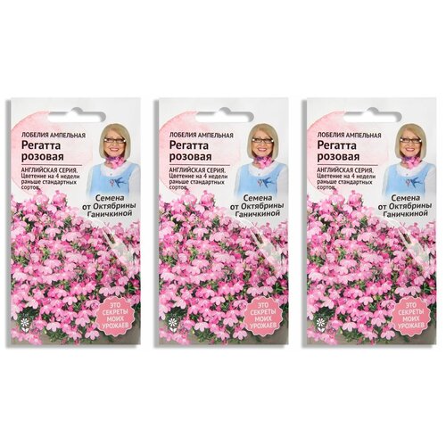 ������ ������ ����� ����� ������� ������� ������� 10 �� - 3 ��. ����