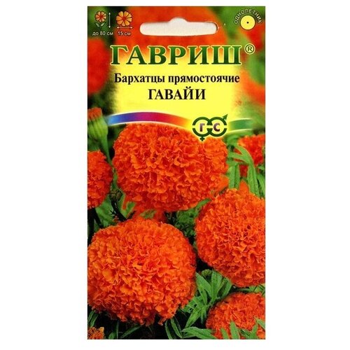 ������ ������ ������ ������ �������� ������������ ������ (�������) 0,3 � ����