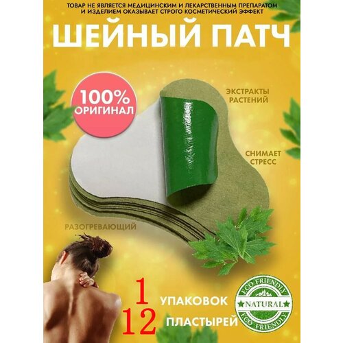 ������ ������ �������� �������������� ��� ����� 12 �� ����