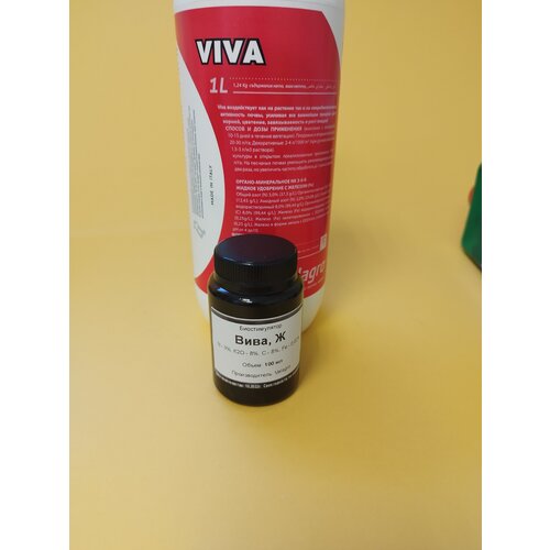 ������ ������ ��������� ���� 100 �� ����