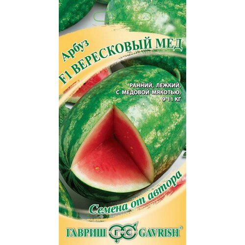 ������ ������ ������ ����� F1 ���������� ̸� 5 ���� ����� ������ ����